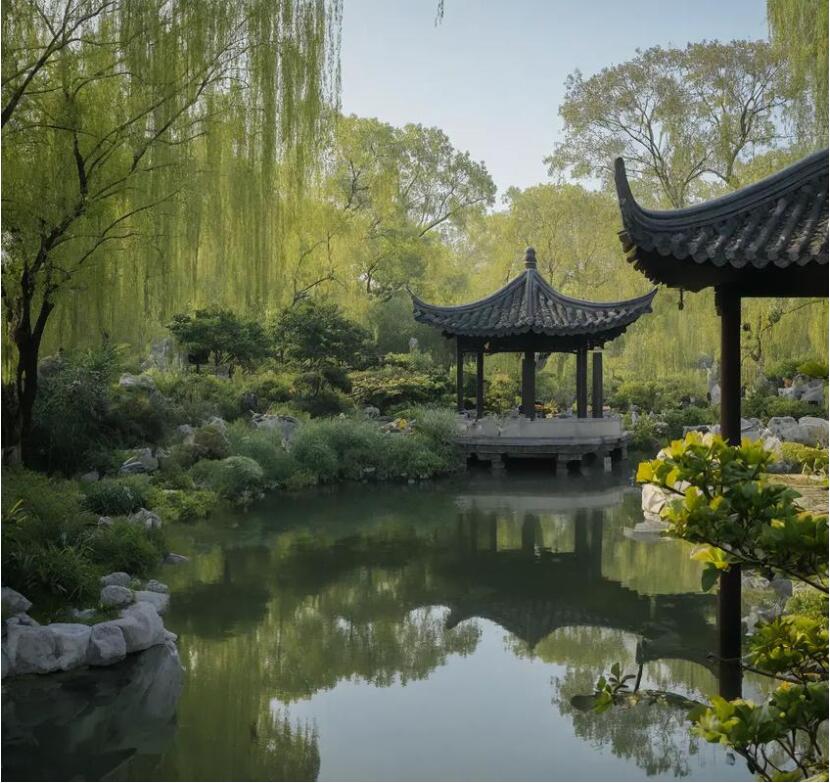 台湾雨双广告业有限公司